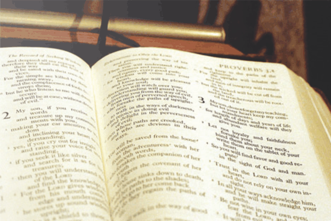 bible